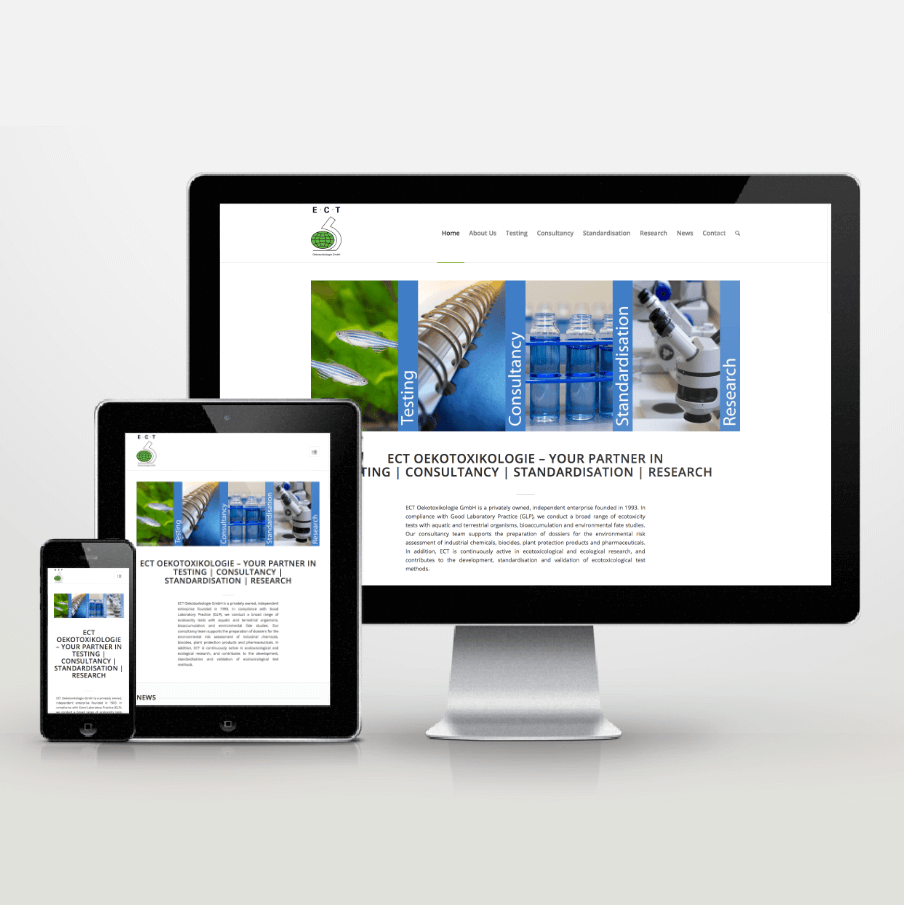 Website Neugestaltung ECT