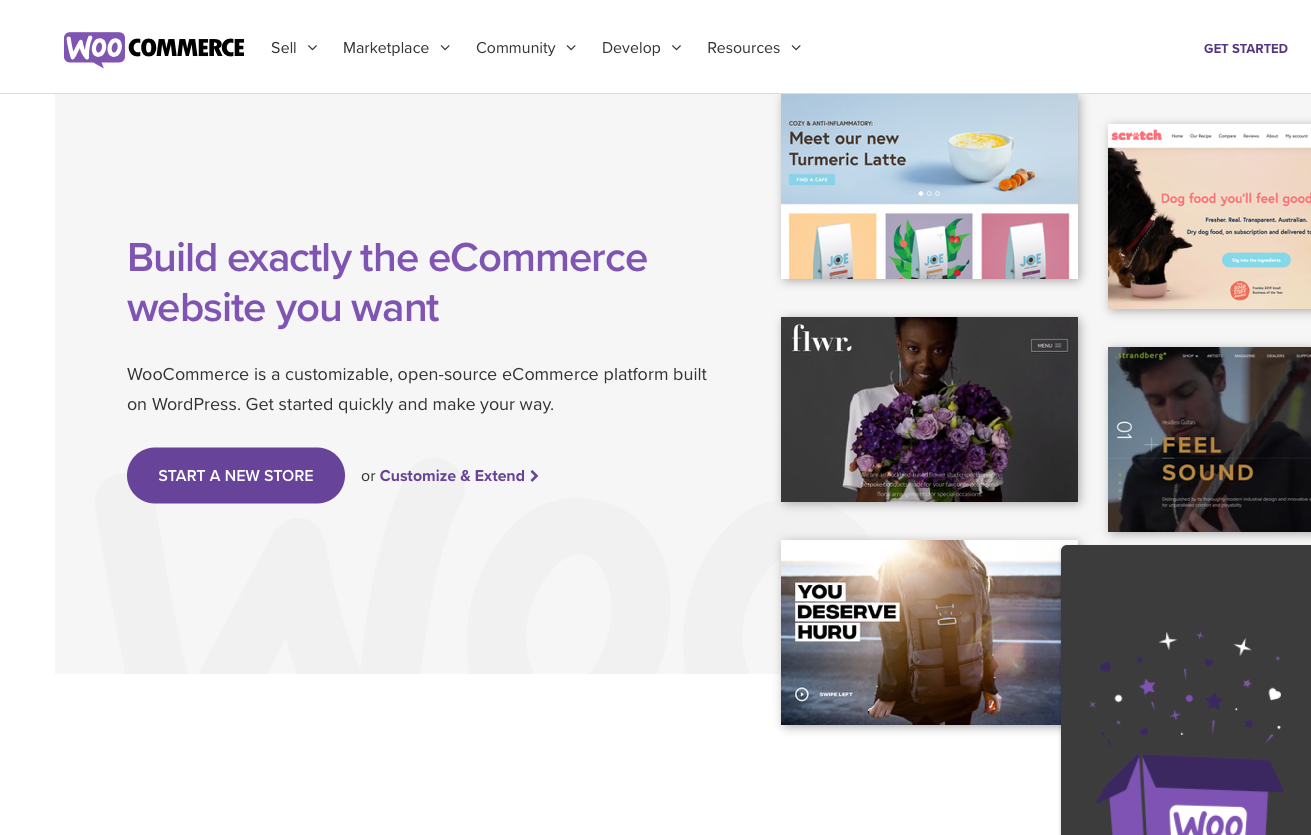 WooCommerce und Zoom Meetings